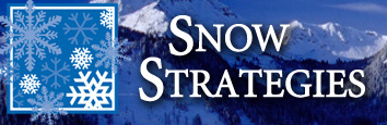 Snow Strategies - Clearing Pathways to Your Success